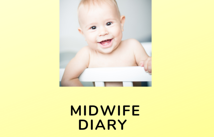 Midwife Diary 3