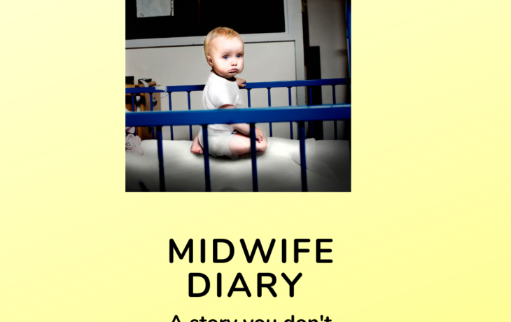 Midwife Diary 2
