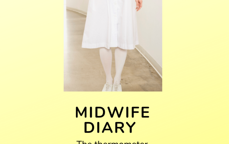 Midwife Diary 1